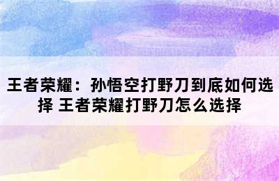 王者荣耀：孙悟空打野刀到底如何选择 王者荣耀打野刀怎么选择